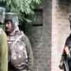 Article image for: J&K: Four terrorists killed in <i class="tbold">pulwama encounter</i>
