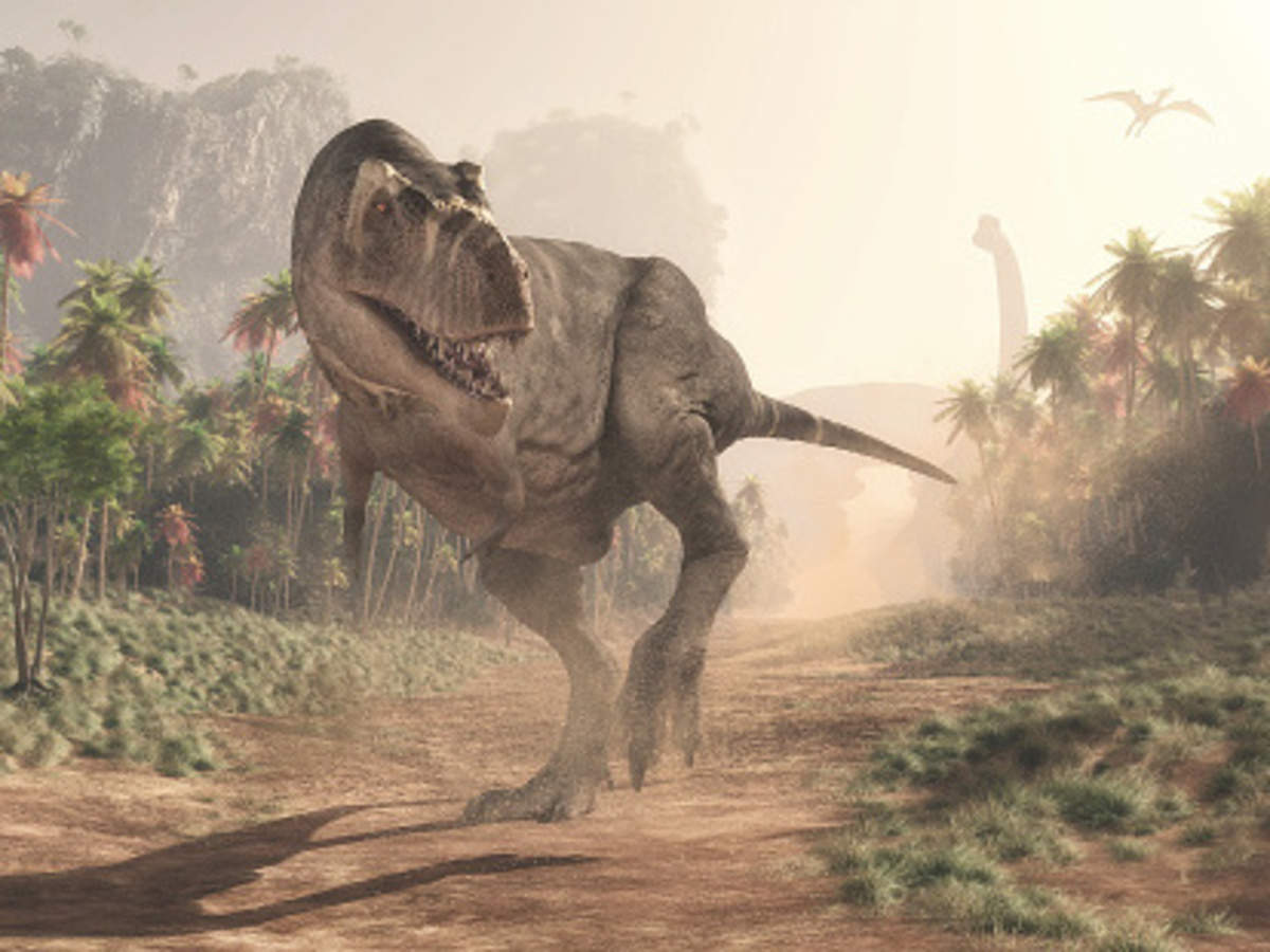 India gets its first dinosaur museum and fossil park in Gujarat | Times of  India Travel