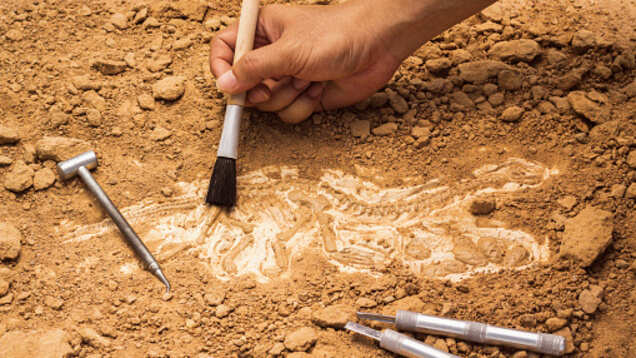 India gets its first dinosaur museum and fossil park in Gujarat