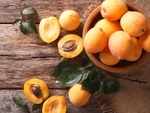Yummy apricots have amazing health benefits