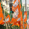 Article image for: Delhi Assembly poll: BJP to conduct surveys for better selection of candidates