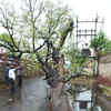 Article image for: Pre-monsoon rains in several parts of country bring respite from heat