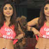 Article image for: Shilpa Shetty shows off her toned abs, shares fitness tips
