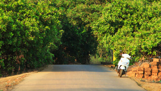 This Goa village is visible only for a month every year