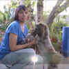 Article image for: Ashwini and Coco celebrate <i class="tbold">yoga</i> Day together