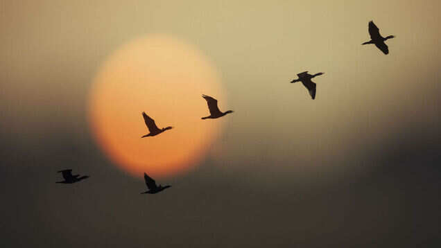 Visit wonderland called Chandraprabha to explore the other side of Varanasi