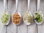 Are sprouted grains healthy?