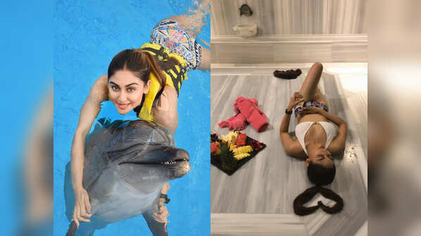 Krystle D'Souza