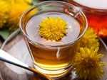 Dandelion root tea