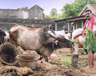 Kalavani 2