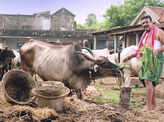 Kalavani 2