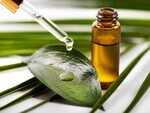 Tea Tree Oil