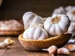 Garlic