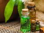 Aloe vera and tea tree oil