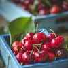 Article image for: Cherries