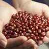 Red Beans
