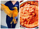 Orange Seagull found covered in Vindaloo Curry!