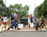 A freeze mob gets Bengalureans thinking at Lalbagh