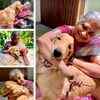 The Gopi Diaries