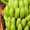 Unripe banana