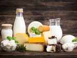 ​Dairy products