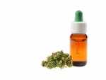 CBD oil