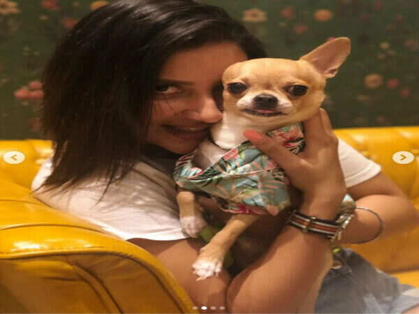 Subhashree Ganguly Stills