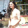 Article image for: New pictures of <i class="tbold">meenakshi</i>