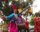 Enthusiats have a gala time at the 28th Mango Mela 