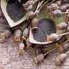 What's the difference between khus and khus khus