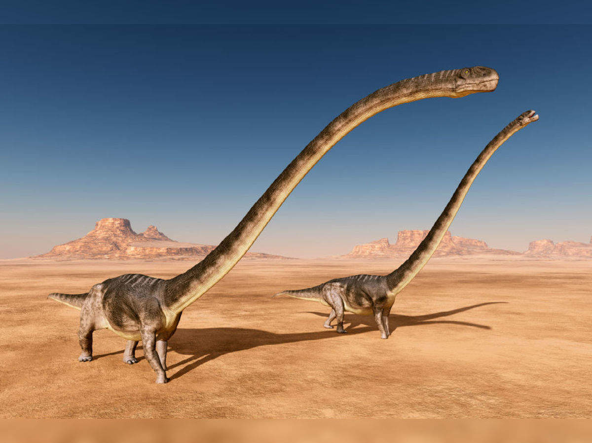 Gigantic 500 kg dinosaur bone found in France, belongs to the ...