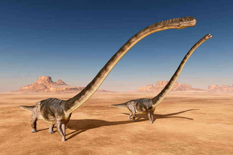 what is the biggest long neck dinosaur