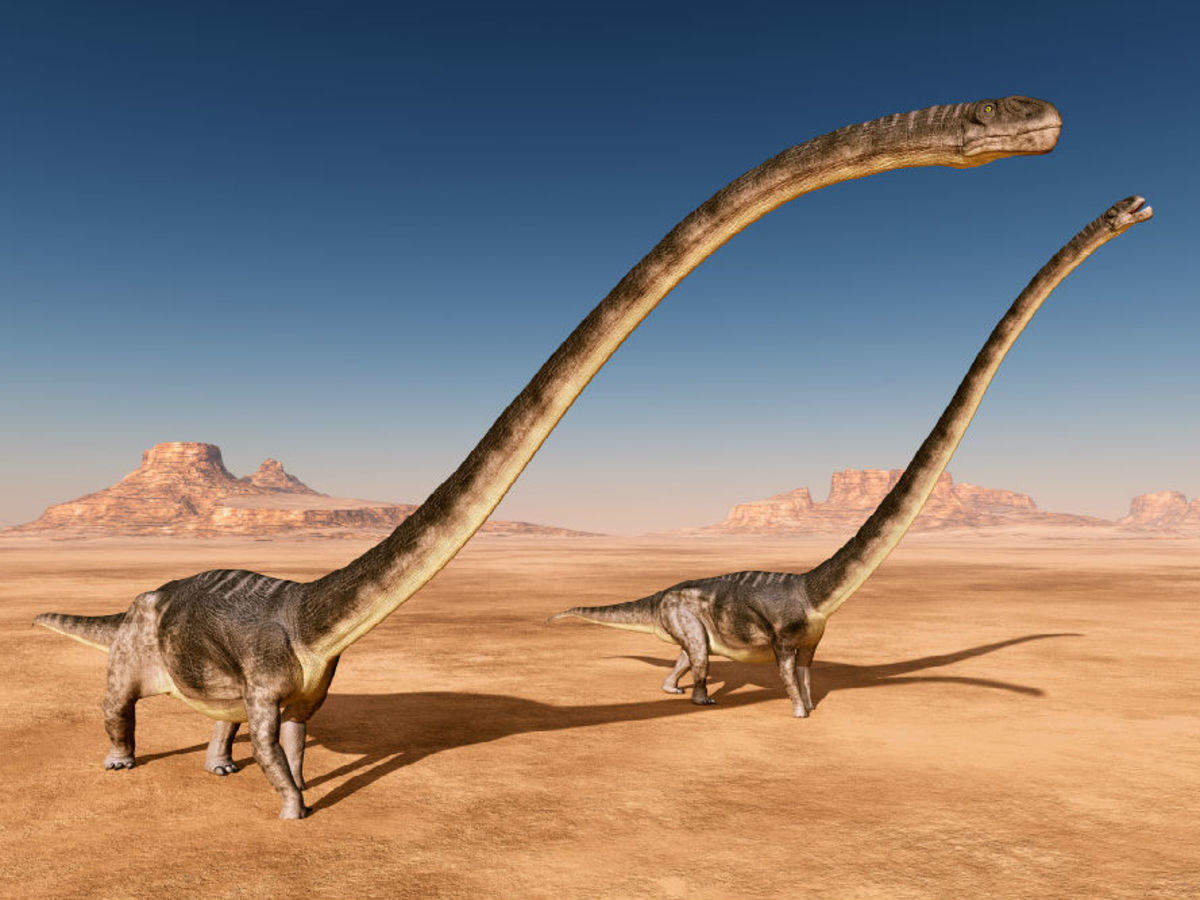 Gigantic 500 kg dinosaur bone found in France, belongs to the ...