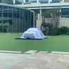 Macan to be uncovered; moments away from the launch