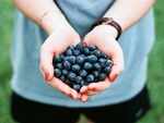 Antioxidants in foods