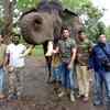 ​Darshan adopts Tiger on International Tiger Day