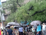 Tree collapses in Mulund