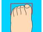 The Peasant Toe