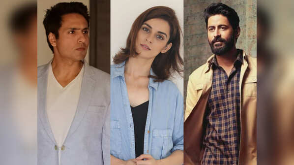 Article 370 revoked: Iqbal Khan, Ekta Kaul, Mohit Raina and other TV celebs laud the move
