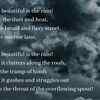 ​ 'How Beautiful is the Rain' by William Wordsworth