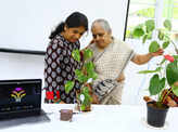 City environmentalists and tree lovers listen to the music in plants 