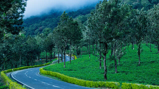 You will soon be able to enjoy a homestay experience in the Nilgiris