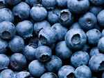 Blueberries