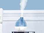 Here's why you should purchase a humidifier for your house