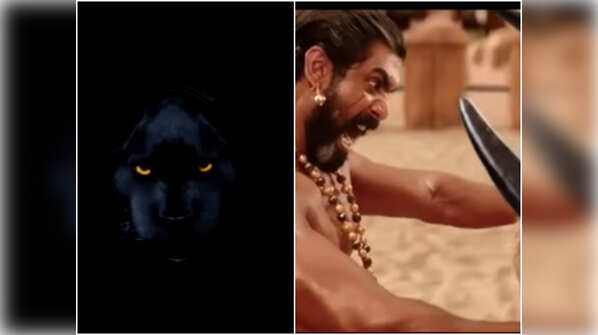 Animal fight scene
