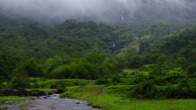 Tamhini Ghat and Mahabaleshwar receive more rain than Cherrapunji