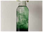 How to consume chlorophyll?
