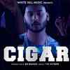 Article image for: Latest Punjabi Song 'Cigar' Sung By <i class="tbold">rd</i> Mahan
