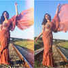 Playful in a sari