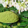 Moringa leaves